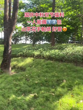 快冲!赶紧薅维达山茶花手帕纸,我们宿舍都薅麻了!这款真的太适合我们大学生了:山茶花包装美到心坎,颜值党直接沦陷;山茶花香味巨好闻,清新不刺鼻,用着超愉悦。而且维达是大品牌,纸张细腻柔软,用着放心,价格还实惠,对于我们这些追求品味又想省钱的“抠搜”人来说,简直是完美选择!#强烈推荐 #手帕纸 #维达纸巾 #维达 #超便宜超划算