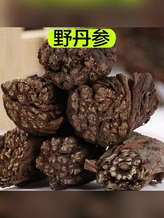 【野丹参】甘肃特产  野外生长紫丹参 黄搭芩配片泡水250克芩#丹参 #养生#养生茶#大自然的馈赠