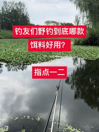 你们在用哪一款?#野钓饵料推荐哪个品牌 #户外钓鱼 #渔具#饵料窝料 #饵料搭配