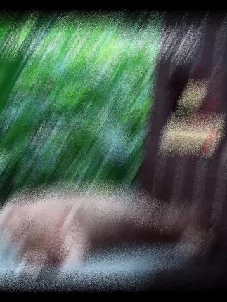 人的精神寄托可以是工作,音乐,书籍或者山川湖海,独独不可以是人。夏虫不可与冰,井蛙不可与海,凡夫不可与道。允许自己做自己,允许别人做别人,而不是互相强加和消耗,#日常分享 #原创视频 #读书分享