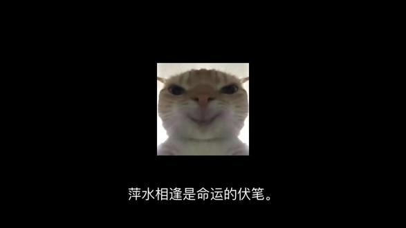 当我无法安慰你,或你不再能关怀我,请千万记住,在我们菲薄的流年里,曾有十二只白鹭鸶飞过秋天的湖泊。