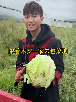 和木安一家去包菜地,农民种菜太不容易了#姗姗记录生活 #姗姗与木安#我的乡村生活 #农村生活日常 #随时随地标记一下