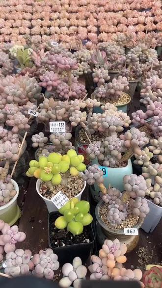 米可奶满35就能包邮!这羊毛不薅等啥?