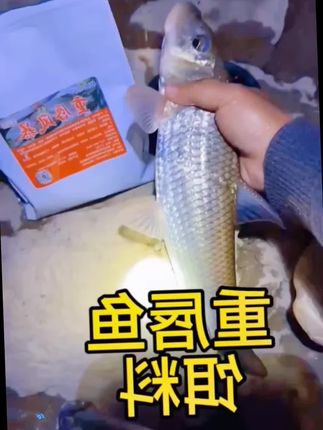 秘制饵料 专攻重唇鱼 漏鱼 土凤 沙沟 天呐!这款秘制饵料太狠了!专攻重唇鱼、漏鱼、土凤、沙沟,超强诱鱼力,下竿就爆口!,#重唇鱼饵料 #重唇鱼饵 #重唇鱼 #饵料 #饵料窝料