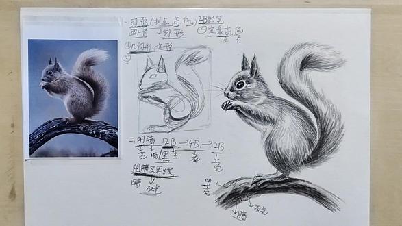 素描《松鼠》 #跟着抖音学画画 #手绘 #素描 #画画 #铅笔画 素描松鼠