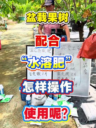 盆栽果树用了固态肥料之后再配合水溶肥效果可以吗?具体怎样操作呢?#三农 #果树种植 #果树管理#肥料#水溶肥