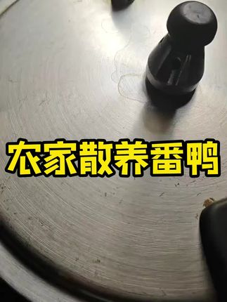 #闽南#闽南语#闽南人#闽南地区#闽南特色