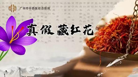 真假西红花 2024广东药品科普创作大赛优秀奖 | 一字之差,价差百倍,西红花和红花,名字像双胞胎,但用错可能耽误事!如何分辨这两味药材?到底该怎么选?跟着这个视频来一探究竟!#西红花 #药材 #红花 #科普视频 @DOU+小助手 @抖音小助手