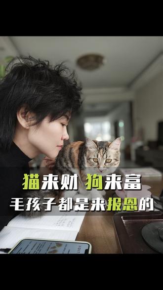 猫来财,狗来富,毛孩子都是来报恩的!#非遗传递人 #皇家香 #香疗师 #毛孩子 #文化IP商业化