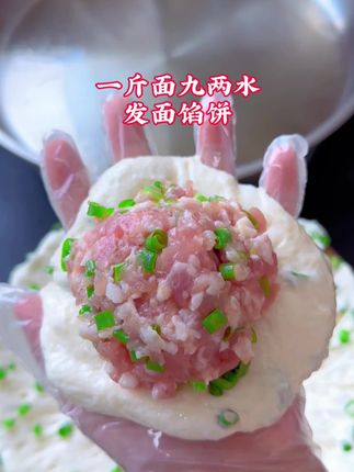 不揉面不擀皮,发面馅饼懒人做法,好吃到停不下来,发面比例;500克面粉、10克白糖、1袋高活性益生菌酵母粉、450克温水,要想面粉发的好,选对酵母很重要‼️#高活益生菌酵母粉 新手发面也不会失败
