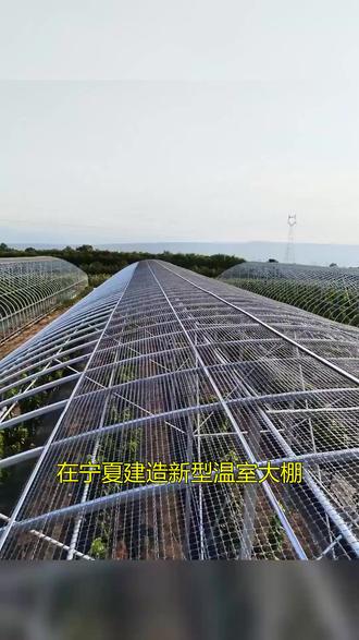 在宁夏建造新型温室大棚一般要多少钱 在宁夏建造新型温室大棚,一般要多少钱?博瀚农业,我们按照客户需求,合理规划空间,提高土地利用率,让您种得更多,联系我们,免费上门勘测,制定详细报价方案!#新型温室大棚 #宁夏新型温室大棚 #新型温室大棚一般要多少钱 #博瀚农业