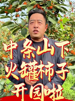 #三农 #三农流量扶持计划 #火罐柿子 #新农人 #助农