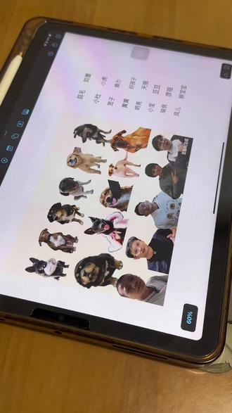 这几天老是刷到认小狗的视频 终于还是让我妈来试试了哈哈哈哈 其实正确率还可以了 讲过几遍但是犹如我上物理课一样心有余而力不足啊 喜讯是如墨终于是个人了!#骏良 #门头沟美食 #门头沟 #骏良的狗 #小宝