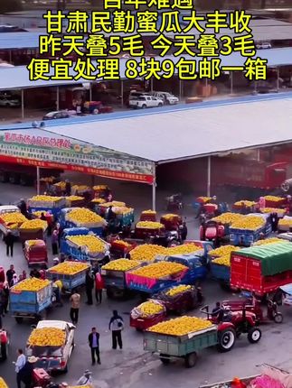#民勤蜜瓜 #夏天的味道 #超便宜超划算 #优质农产品 #水果