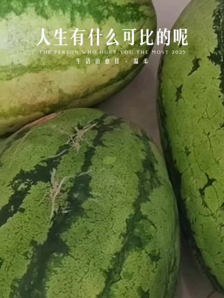 硒砂瓜#优质农产品 #西瓜真甜 #绿色食品
