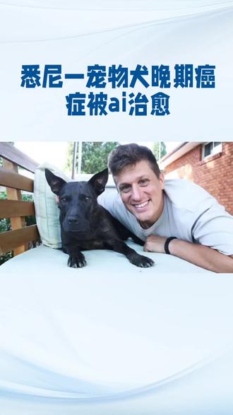 🎉AI太神了!晚期癌症狗狗重获新生✨ 看这治愈的笑容,谁能不爱呢🥰