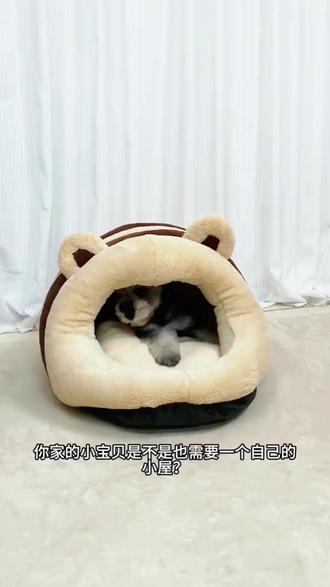绅士小熊猫窝,给宠物冬日温暖安全感!
#萌趣宠物窝 #冬季宠物窝 #宠物安全感 #绅士造型猫窝 #可爱猫窝