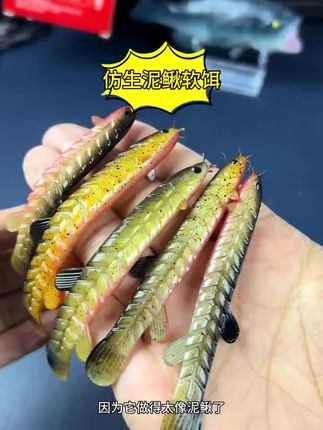 仿真泥鳅连肉质都做得和真鱼一样Q弹,在狡猾的鱼也顶不住假饵动态加味道的双重诱惑#路亚翘嘴#路亚海鲈 #路亚鳜鱼 #路亚鲈鱼 #路亚假饵