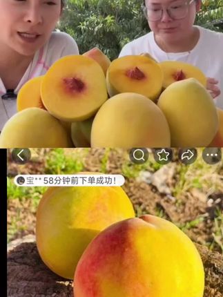 和 @甄选优品🍁 一起 #合拍 #湖北正宗新鲜锦绣黄桃脆软两吃孕妇水果当季现摘5斤9斤包邮#坏果包赔 #点击小黄车直接购买