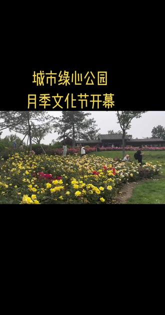北京副中心月季文化节#月季花园
