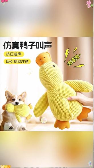 宠物玩具狗狗毛绒陪睡鸭发声自嗨解闷耐咬 #小黄鸭玩具 #小狗磨牙 陪伴玩偶 #狗狗玩具 #我的养宠日常 #快送狗狗去上学吧别耽误了它