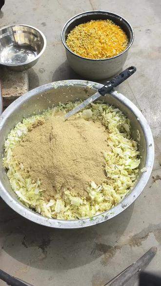 养鸡超过10只的,建议买个碎菜机,简直是解放双手!#养鸡#发酵床#喂鸡#碎菜机