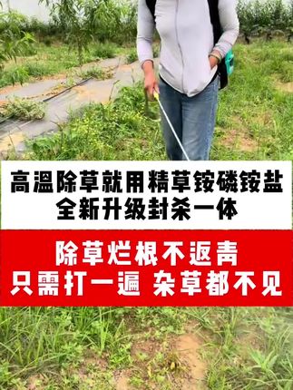 果园除草封杀一体 果园茶园中草药选,田埂荒地除草新配方,除草干净,烂叶烂根不返青 #精草胺膦胺盐 #果园除草 #死草烂叶烂根不返青