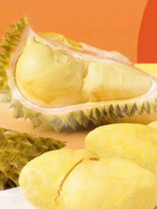 99发一袋900克#金枕榴莲 #榴莲爱好者 #超便宜超划算