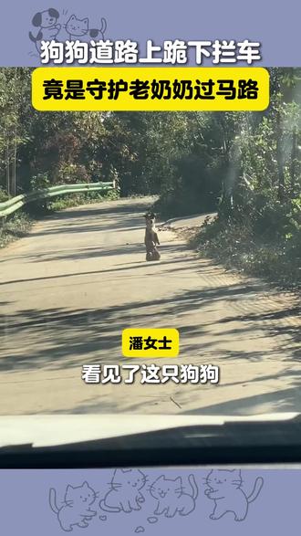小狗下跪拦车,竟然是为了帮助老奶奶过马路#治愈#画画#善良#万物皆有灵性#狗狗