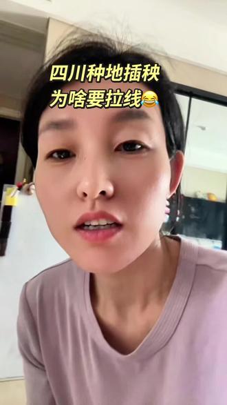 四川种地插秧为什么要拉线😂#四川水稻 #四川dou知道 #四川美好推荐官 #水稻