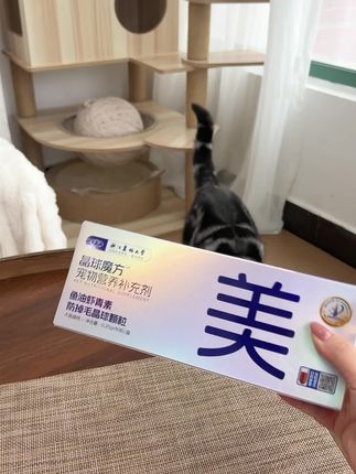 谁能拒绝一个美毛冻干!#萌宠 #吃货猫 #科学养宠攻略#养猫新手