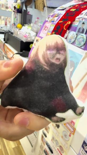 丰川翔子理应出任首相!#mujica #谷子 #二次元