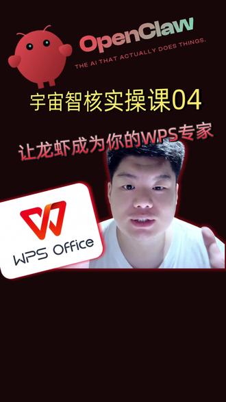 宇宙虾实操课04:如何让龙虾成为你的WPS专家 #wps #提升职场技能 #宇宙智核实操课 #agent #clawbot #宇宙智核 #openclaw #宇宙虾 #智能体 #ai应用课程