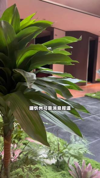 忻州凌波里汤泉开业特惠重磅来袭!!#汤泉 #水会 #放松解压好去处 #洗浴汗蒸 #优惠活动火爆进行中