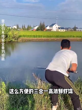 夏季精准打窝方块 让你钓鱼钓到手软#野钓 #翘嘴 #饵料 #新手钓鱼 #钓鱼