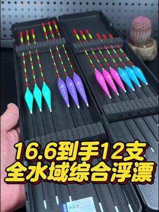 12只精品浮漂套装