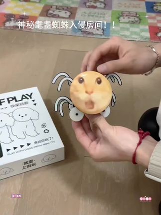 耄耋搞怪抽象会爬行猫咪电动蜘蛛趣味学生解压玩具#脑洞大开 #也太可爱了吧 #玩个很新的东西 #新奇特创意 #是时候安排一下了