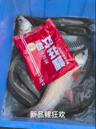 兄弟们这是什么鱼种?😳😳 #钓鱼饵料 #爆护饵料 #抖音钓鱼季 #黑坑鲤鱼 #玩转黑坑