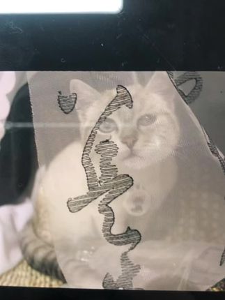 #施主艺术品不说钱说缘