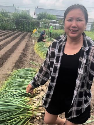 腌糖蒜了小园糖蒜