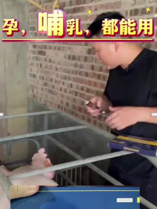 猪牛羊孕畜可用,70元两盒#养猪人加油干 #养猪人 #自繁自养 #养猪 #养殖