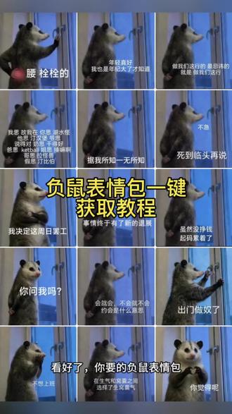 大家在找的负鼠表情包获取教程来了,微信版负鼠表情包,负鼠微信版表情包,用负鼠表情包打开雨铃霖 小老鼠表情包#负鼠表情包 #负鼠 #小老鼠表情包 #用负鼠表情包打开雨霖铃