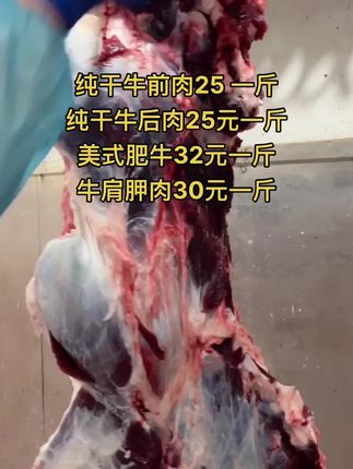 纯干牛前肉25 一斤，65斤一件
纯干牛后肉25元一斤，65斤一件
美式肥牛32元一斤，50斤一件
牛肩胛肉30元一斤，50斤一件#黄牛肉 #牛肉 #牛羊肉批发 #牛副产品 #支持全国发货