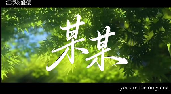 某某
最美好不过2013的夏天.
#某某#添望