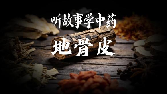听一段老故事,识一味好药材。中医里的小智慧,藏在寻常草木间。#中草药#中药材#古人智慧#科普中草药#地骨皮