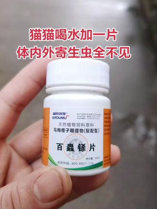 #养殖人 #养殖人加油 #新手养猫 #谁能拒绝傻憨憨的小猫咪