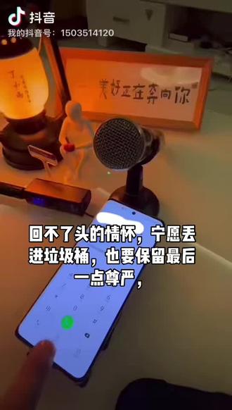 最近的状态,熬不住也得熬,扛不住也得扛,挺不住也得挺。心里藏着疲惫和委屈,抛开一切往事,倘然接受 未来。