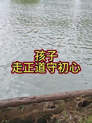 走正道守初心#心里话#父爱如山#老人言受益一生 #情感共鸣
