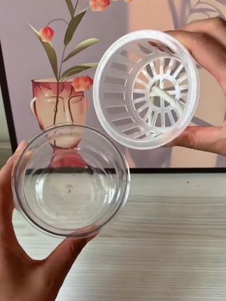 #水培瓶子 #好物推荐🔥