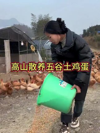 #散养土鸡蛋